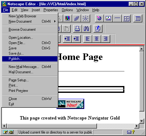 Navigator Gold Editor